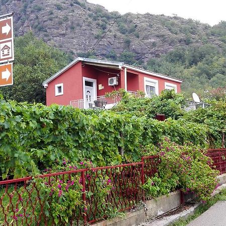 Apartment Sjekloca Virpazar Bagian luar foto